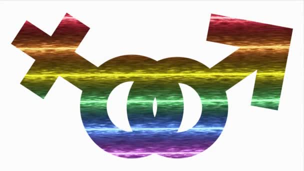 Лгбт Жінка Чоловічий Ікона Веселки Абстрактні Лесбійки Геї Бісексуали Трансгендерний — стокове відео