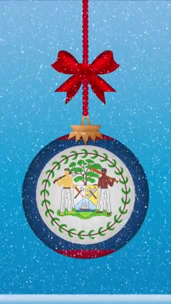 白雪飘落在挂满伯利兹国旗的圣诞舞会上 — 图库视频影像