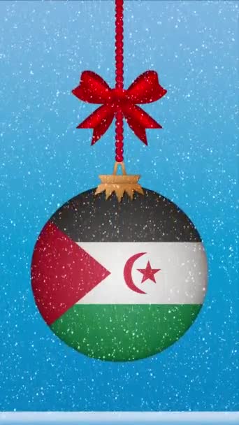 사하라 Dr의 깃발과 크리스마스 떨어지는 — 비디오