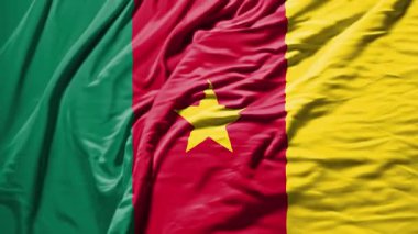 Kamerun dalgalanan bayrak gerçekçi bez animasyonu