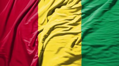 Gine bayrağı sallayan gerçekçi kumaş animasyonu