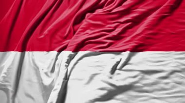 Monaco sallanan gerçekçi bez animasyonu