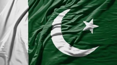 Pakistanlı gerçekçi kumaş animasyonu sallıyor