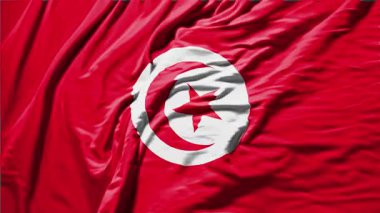 Tunus dalgalı bayrak gerçekçi kumaş animasyonu