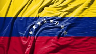Venezuela bayrak sallıyor gerçekçi kumaş animasyonu