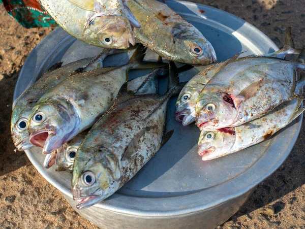 Een Verse Vangst Van Vis Koop Een Kustgemeenschap — Stockfoto