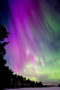 İsveç (Aurora borealis sakin göl üzerinde Kuzey ışıkları doğal görünümünü)