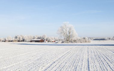 Soğuk kış manzarasında kar ve donla kaplı çiftlik ahırı ve ev
