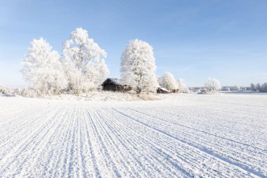 Soğuk kış manzarasında kar ve donla kaplı çiftlik ahırı ve ev