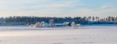 Soğuk kış manzarasında kar ve donla kaplı çiftlik ahırı ve ev