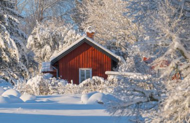 Soğuk kış manzarasında kar ve donla kaplı çiftlik ahırı ve ev