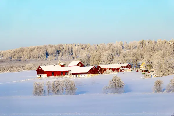 在冰雪覆盖的寒冷冬季景观中的农场 谷仓和房屋 图库照片