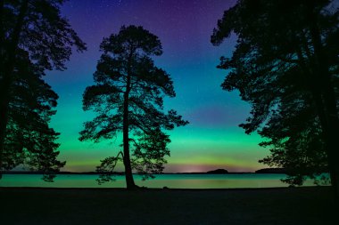 İsveç 'teki sakin göl üzerindeki kuzey ışıklarının manzarası (Aurora borealis) Farnebofjarden Milli Parkı