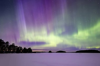 İsveç 'teki sakin göl üzerindeki kuzey ışıklarının manzarası (Aurora borealis) Farnebofjarden Milli Parkı