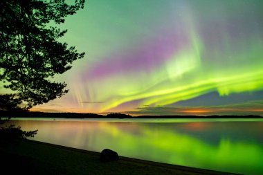 İsveç 'teki sakin göl üzerindeki kuzey ışıklarının manzarası (Aurora borealis) Farnebofjarden Milli Parkı