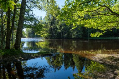 Yazın İsveç nehri ve natura somonl bölgesi. Farnebofjarden Ulusal Parkı, İsveç 'in kuzeyinde..