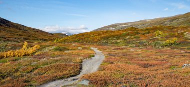 Sonbaharda doğa yürüyüşü. Abisko Ulusal Parkı, İsveç 'in kuzeyinde.
