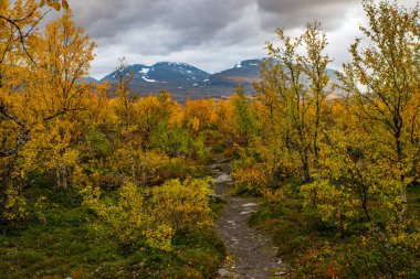 Sonbaharda doğa yürüyüşü. Abisko Ulusal Parkı, İsveç 'in kuzeyinde.