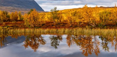 İsveç 'in kuzeyindeki Abisko Ulusal Parkı' nda güzel bir nehir manzarasında gün doğumu sabahı.
