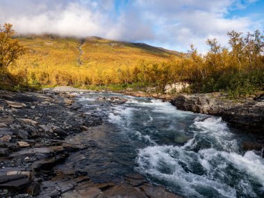 İsveç 'in kuzeyindeki Abisko Ulusal Parkı' nda güzel bir nehir manzarasında gün doğumu sabahı.