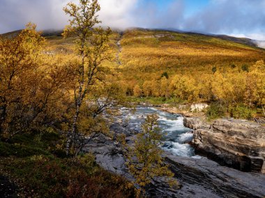 İsveç 'in kuzeyindeki Abisko Ulusal Parkı' nda güzel bir nehir manzarasında gün doğumu sabahı.