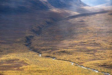 Sonbaharda doğa yürüyüşü. Abisko Ulusal Parkı, İsveç 'in kuzeyinde.