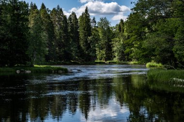 Swedish river and natura salmonl area in summer. Farnebofjarden national park in north of Sweden. clipart