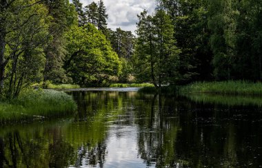 Yazın İsveç nehri ve natura somonl bölgesi. Farnebofjarden Ulusal Parkı, İsveç 'in kuzeyinde..