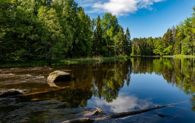 Swedish river and natura salmonl area in summer. Farnebofjarden national park in north of Sweden. clipart