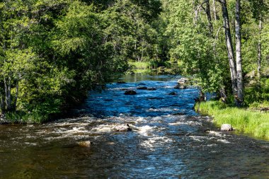 Yazın İsveç nehri ve natura somonl bölgesi. Farnebofjarden Ulusal Parkı, İsveç 'in kuzeyinde..
