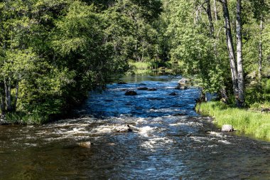 Swedish river and natura salmonl area in summer. Farnebofjarden national park in north of Sweden. clipart