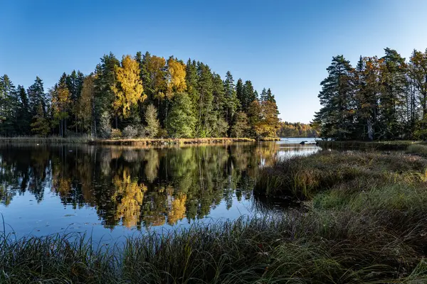 Yazın İsveç nehri ve natura somonl bölgesi. Farnebofjarden Ulusal Parkı, İsveç 'in kuzeyinde..