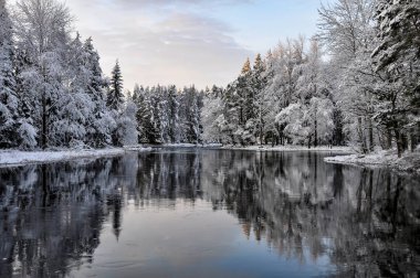 Kar ve buz ile soğuk kış manzara nehirde. İsveç'te Farnebofjarden Milli Parkı.