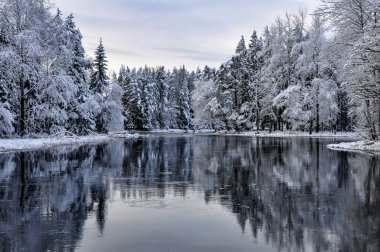 Kar ve buz ile soğuk kış manzara nehirde. İsveç'te Farnebofjarden Milli Parkı.