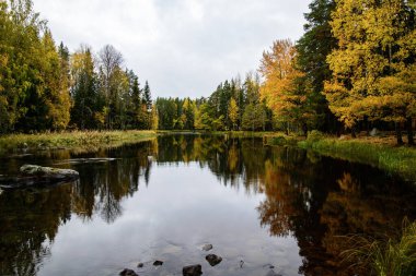 Sonbaharda İsveç nehri ve natura somonl bölgesi. Farnebofjarden Ulusal Parkı, İsveç 'in kuzeyinde..