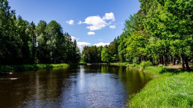 Baharda İsveç nehri ve natura somonl bölgesi. Farnebofjarden Ulusal Parkı, İsveç 'in kuzeyinde..