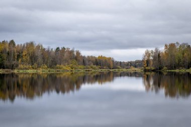 İsveç nehri ve sonbaharda somon somonu. Farnebofjarden Ulusal Parkı, İsveç 'in kuzeyinde..