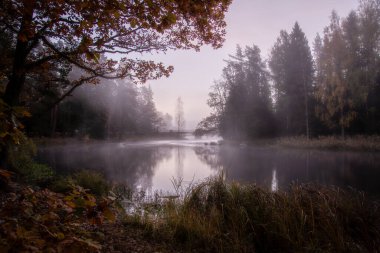 Sonbaharda güneş doğmadan önce İsveç nehri ve somon bölgesi. Farnebofjarden Ulusal Parkı, İsveç 'in kuzeyinde..