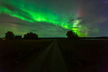 Kuzey ışıklarının kır yolunda dans edişinin manzarası