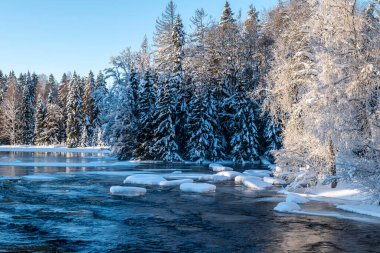 Soğuk bir kış sabahı nehir manzarası