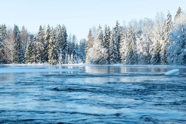 Soğuk bir kış sabahı nehir manzarası