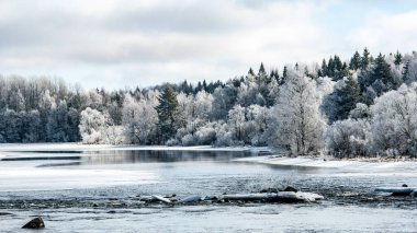 Soğuk bir kış sabahı nehir manzarası