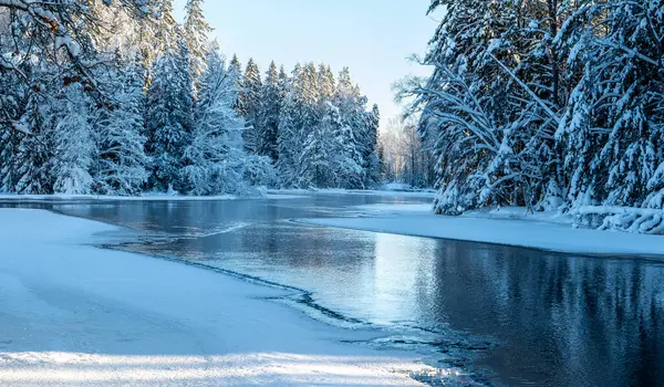 Soğuk bir kış sabahı nehir manzarası