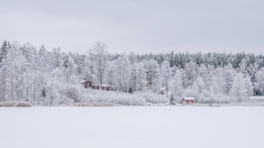 Kır manzarası soğuk bir kış manzarası. Kar ve buzla kaplı.