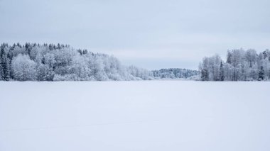 Kır manzarası soğuk bir kış manzarası. Kar ve buzla kaplı.