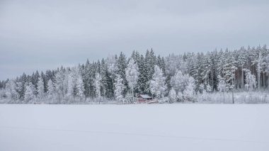 Kır manzarası soğuk bir kış manzarası. Kar ve buzla kaplı.