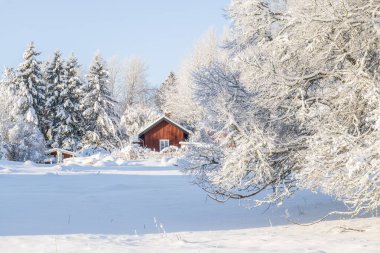Kır manzarası soğuk bir kış manzarası. Kar ve buzla kaplı.