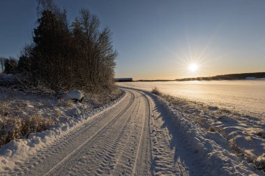 Kır manzarası soğuk bir kış manzarası. Güneş doğarken kar ve donla kaplı.
