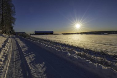 Kır manzarası soğuk bir kış manzarası. Güneş doğarken kar ve donla kaplı.