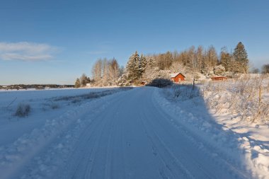 Kır manzarası soğuk bir kış manzarası. Güneş doğarken kar ve donla kaplı.